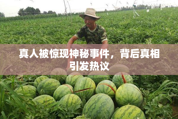 真人被惊现神秘事件，背后真相引发热议