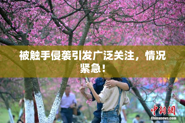 被触手侵袭引发广泛关注，情况紧急！