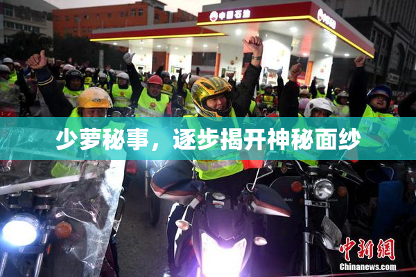 少萝秘事，逐步揭开神秘面纱