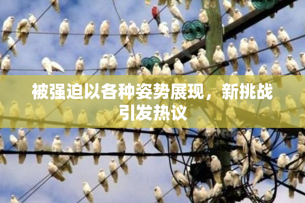 被强迫以各种姿势展现，新挑战引发热议