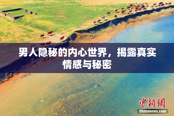 男人隐秘的内心世界，揭露真实情感与秘密