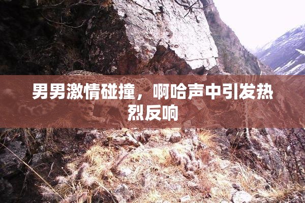 男男激情碰撞，啊哈声中引发热烈反响