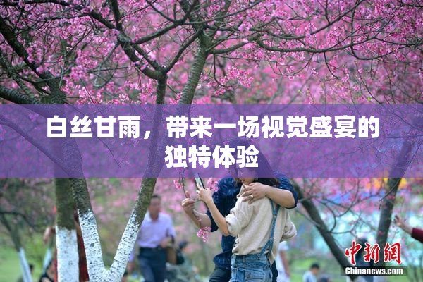 白丝甘雨，带来一场视觉盛宴的独特体验