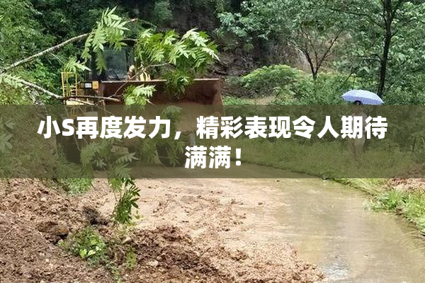 小S再度发力，精彩表现令人期待满满！