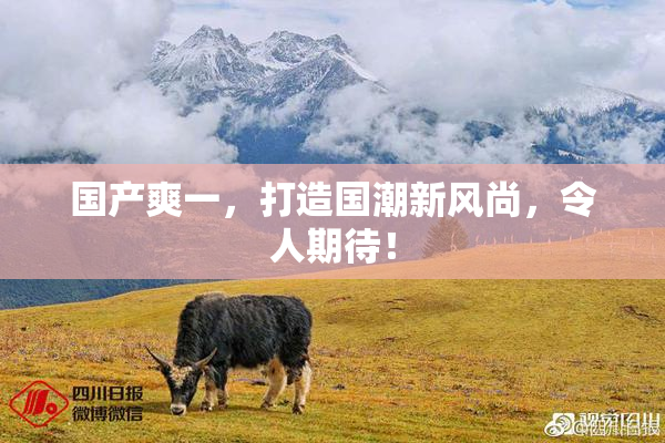 国产爽一，打造国潮新风尚，令人期待！