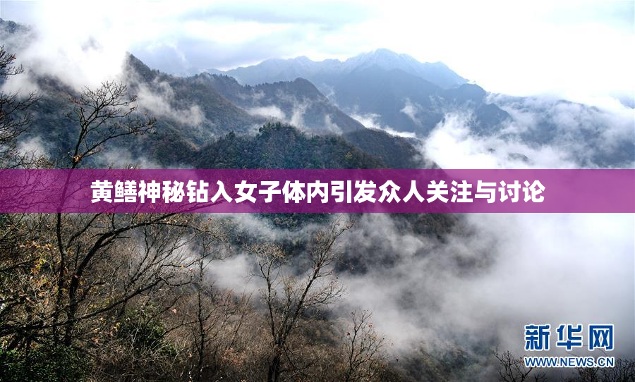 黄鳝神秘钻入女子体内引发众人关注与讨论