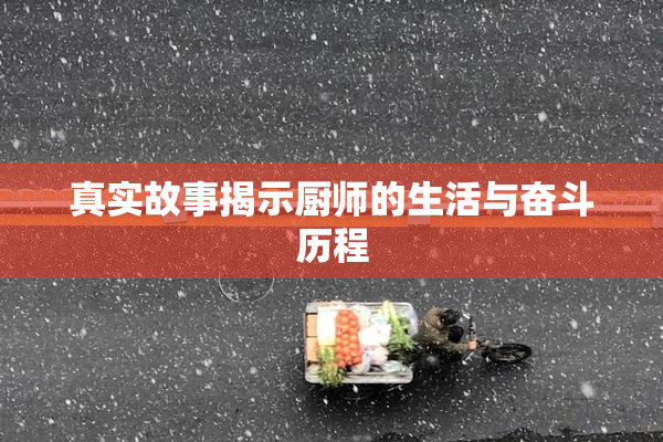 真实故事揭示厨师的生活与奋斗历程