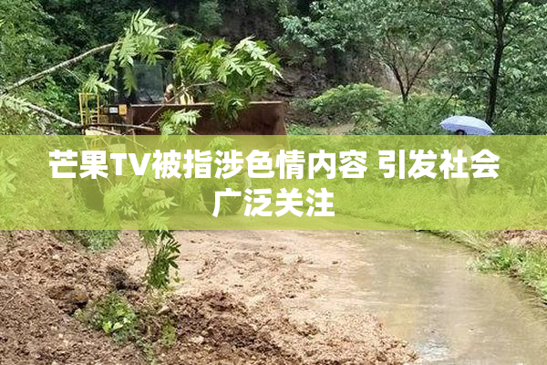 芒果TV被指涉色情内容 引发社会广泛关注