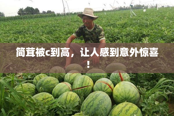 简茸被c到高，让人感到意外惊喜！