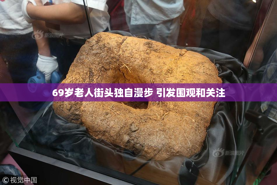 69岁老人街头独自漫步 引发围观和关注