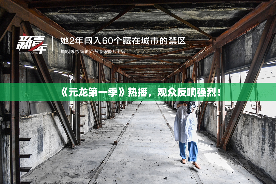 《元龙第一季》热播，观众反响强烈！