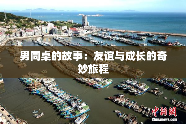 男同桌的故事：友谊与成长的奇妙旅程