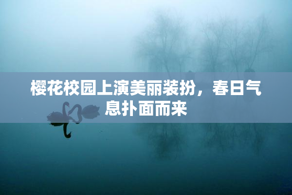 樱花校园上演美丽装扮，春日气息扑面而来