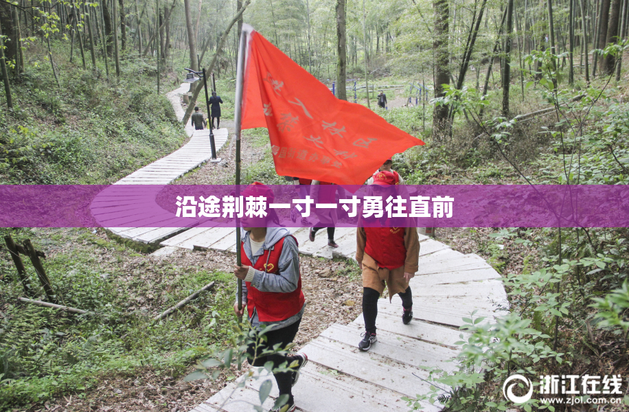 沿途荆棘一寸一寸勇往直前