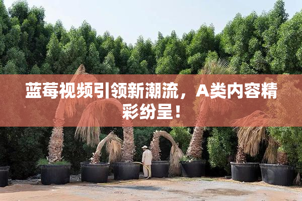 蓝莓视频引领新潮流，A类内容精彩纷呈！
