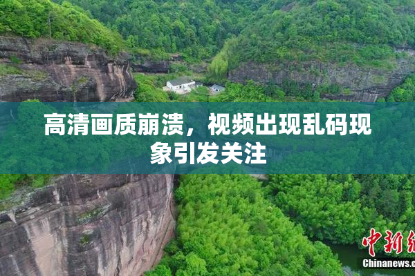 高清画质崩溃，视频出现乱码现象引发关注