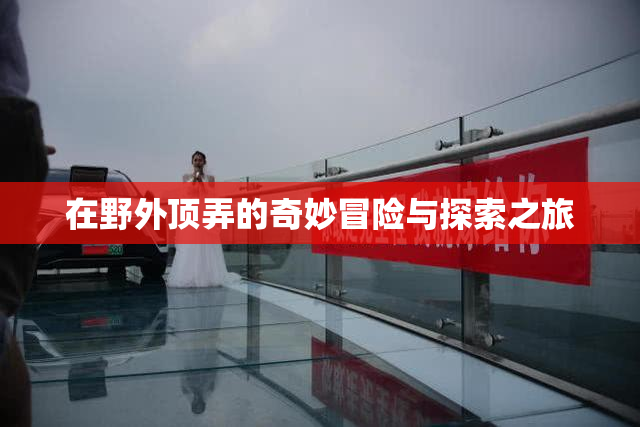在野外顶弄的奇妙冒险与探索之旅