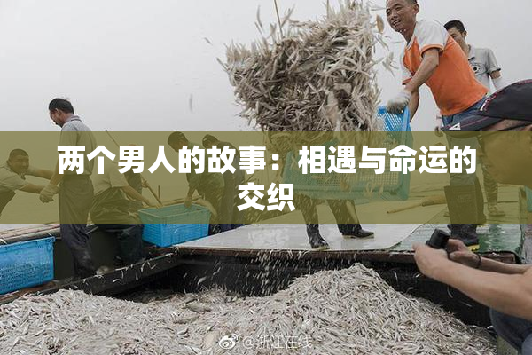 两个男人的故事：相遇与命运的交织