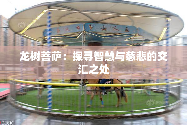 龙树菩萨：探寻智慧与慈悲的交汇之处