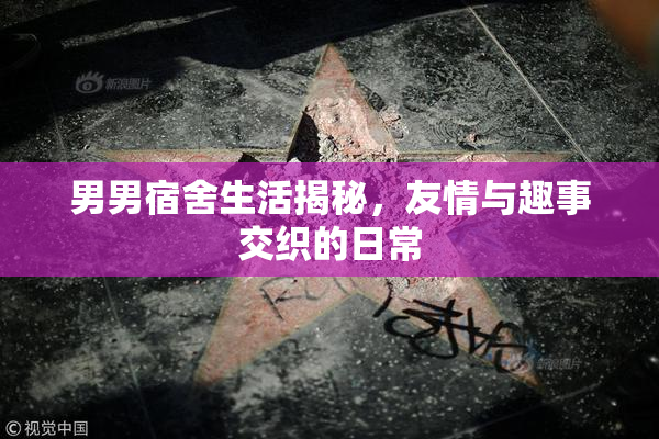男男宿舍生活揭秘，友情与趣事交织的日常
