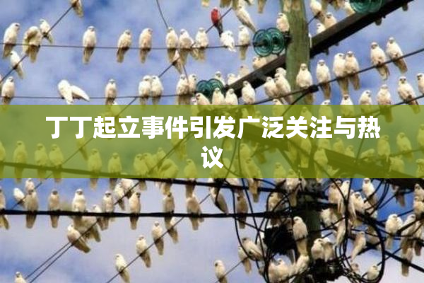 丁丁起立事件引发广泛关注与热议