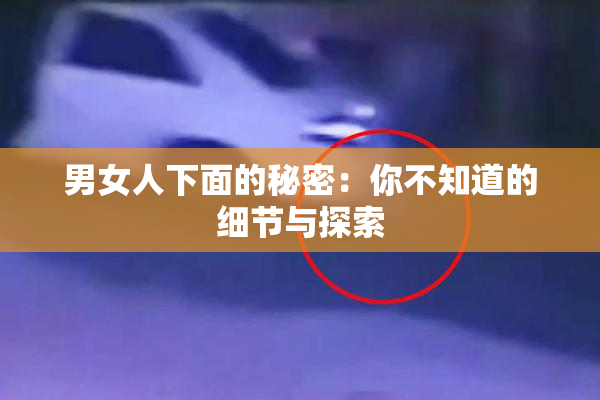 男女人下面的秘密：你不知道的细节与探索