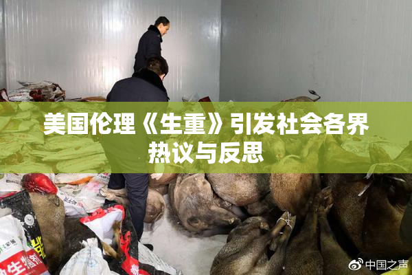 美国伦理《生重》引发社会各界热议与反思