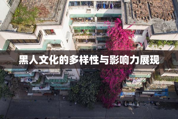 黑人文化的多样性与影响力展现