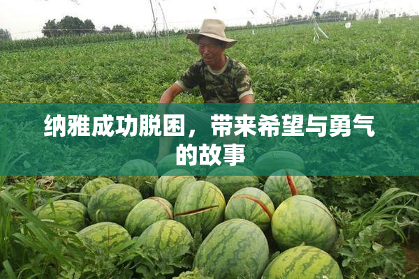 纳雅成功脱困，带来希望与勇气的故事