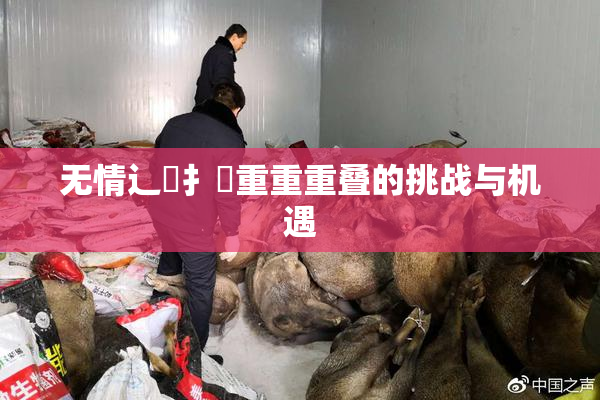 无情辶喿扌畐重重重叠的挑战与机遇
