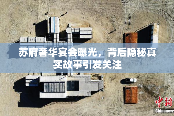 苏府奢华宴会曝光，背后隐秘真实故事引发关注