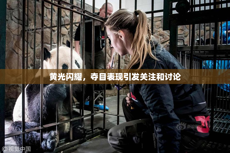 黄光闪耀，夺目表现引发关注和讨论