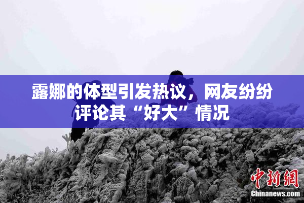 露娜的体型引发热议，网友纷纷评论其“好大”情况