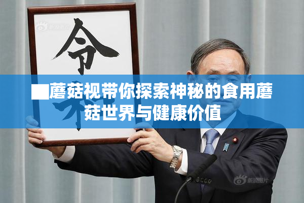 ▇蘑菇视带你探索神秘的食用蘑菇世界与健康价值