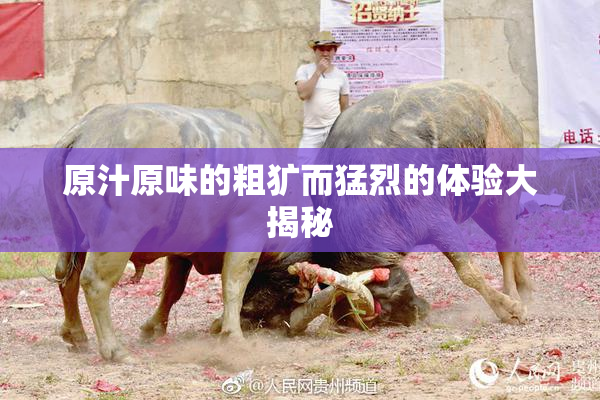 原汁原味的粗犷而猛烈的体验大揭秘