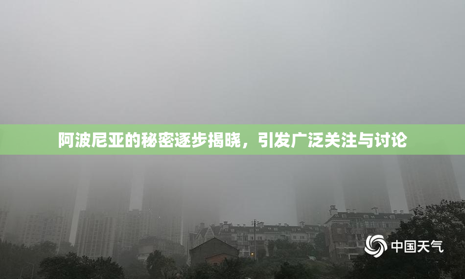 阿波尼亚的秘密逐步揭晓，引发广泛关注与讨论