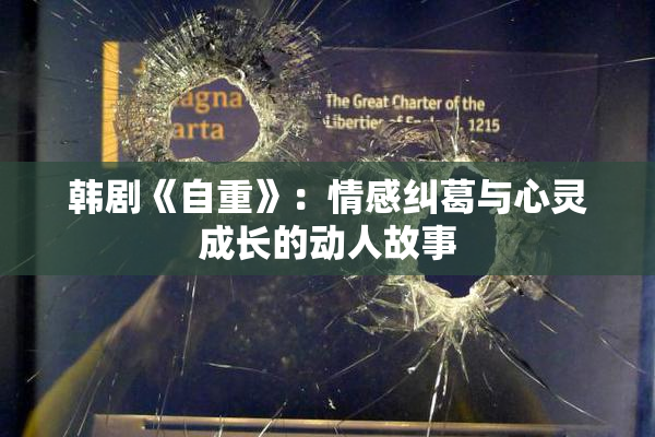 韩剧《自重》：情感纠葛与心灵成长的动人故事