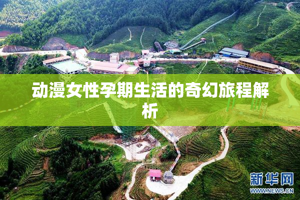 动漫女性孕期生活的奇幻旅程解析
