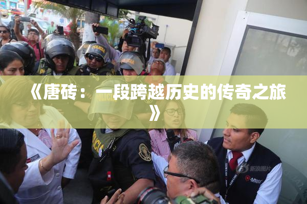 《唐砖：一段跨越历史的传奇之旅》