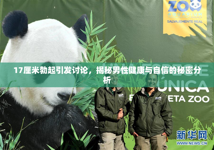 17厘米勃起引发讨论，揭秘男性健康与自信的秘密分析