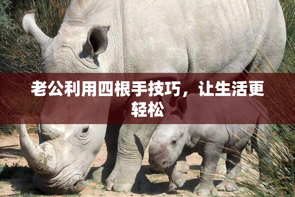 老公利用四根手技巧，让生活更轻松
