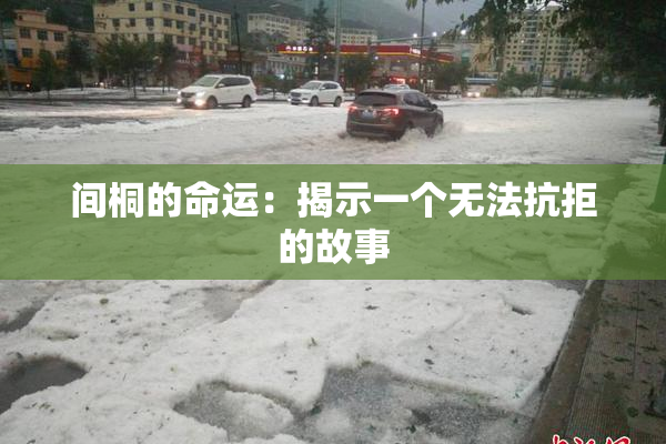 间桐的命运：揭示一个无法抗拒的故事
