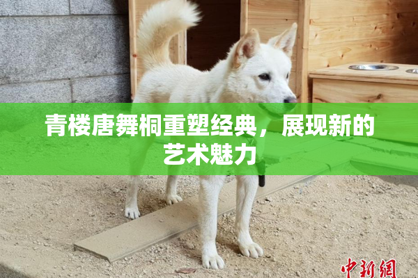 青楼唐舞桐重塑经典，展现新的艺术魅力