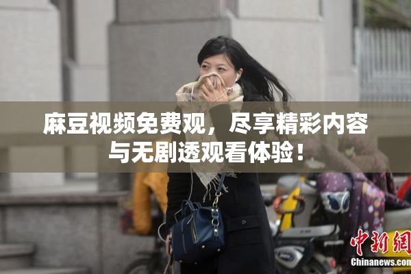 麻豆视频免费观，尽享精彩内容与无剧透观看体验！