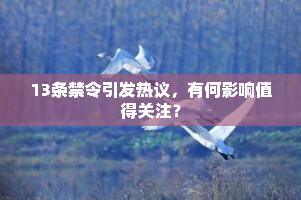 13条禁令引发热议，有何影响值得关注？