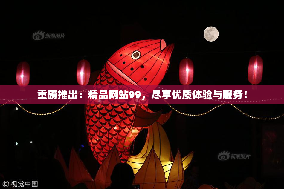 重磅推出：精品网站99，尽享优质体验与服务！