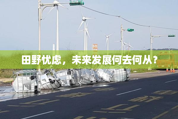 田野忧虑，未来发展何去何从？