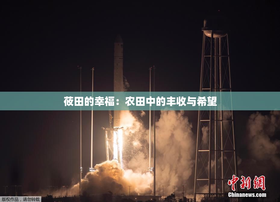 莜田的幸福：农田中的丰收与希望