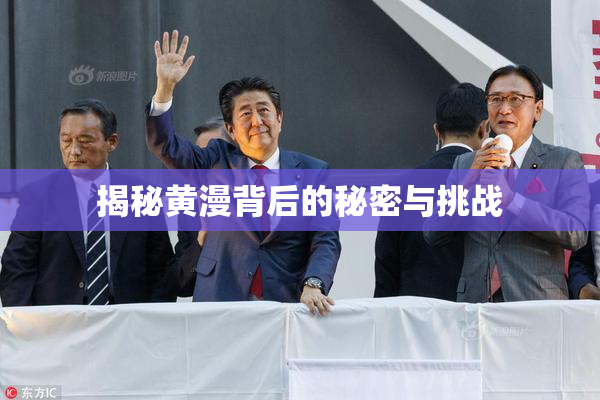揭秘黄漫背后的秘密与挑战