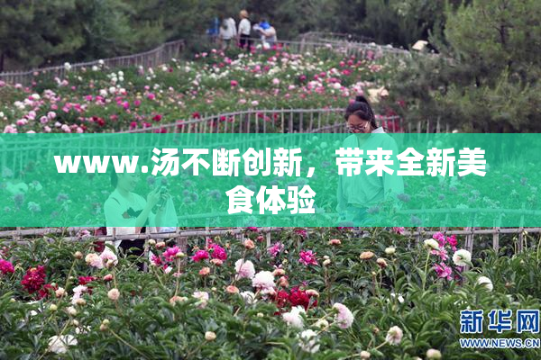 www.汤不断创新，带来全新美食体验